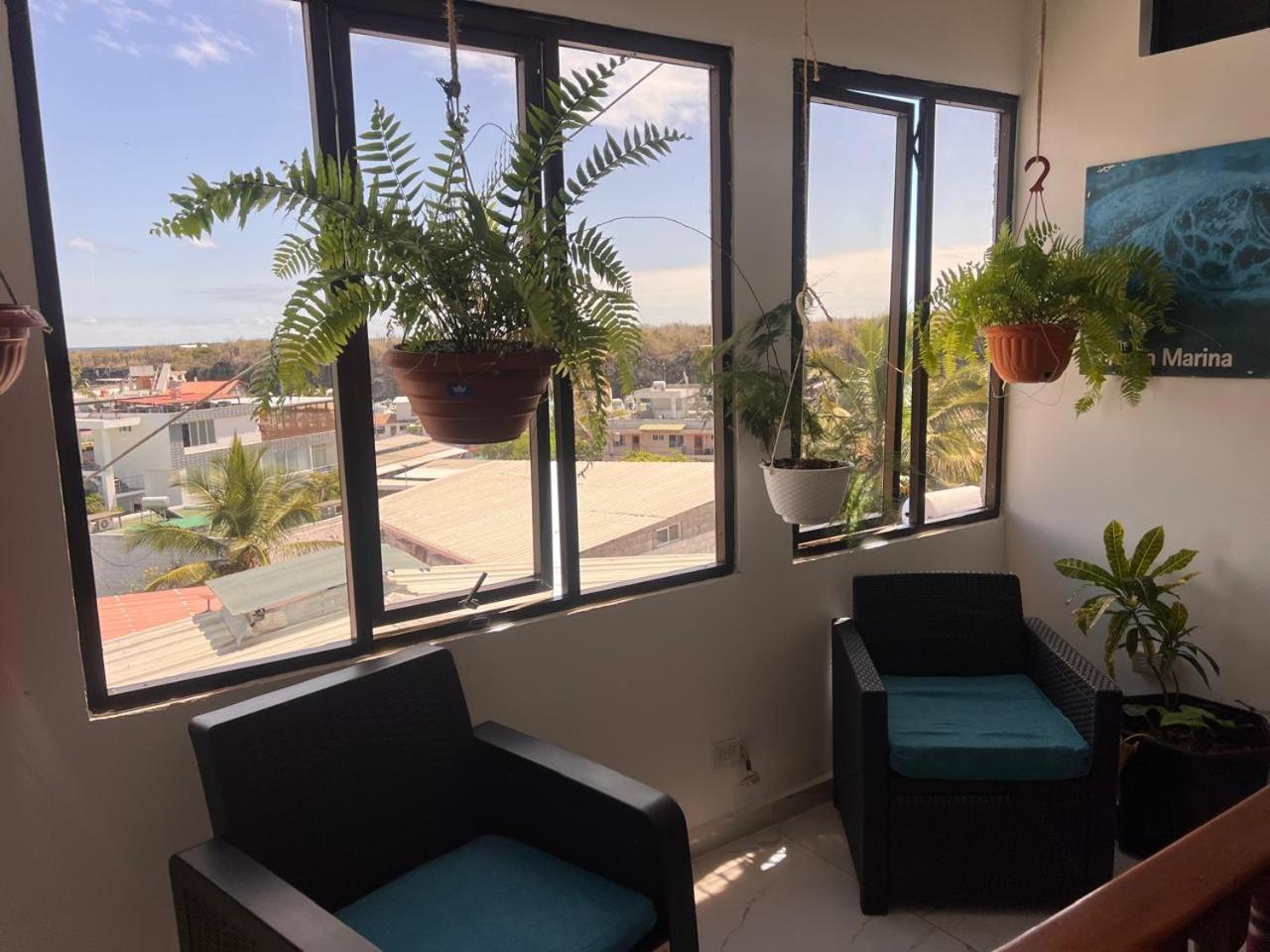 Hostal Carliza بويرتو أيورا المظهر الخارجي الصورة